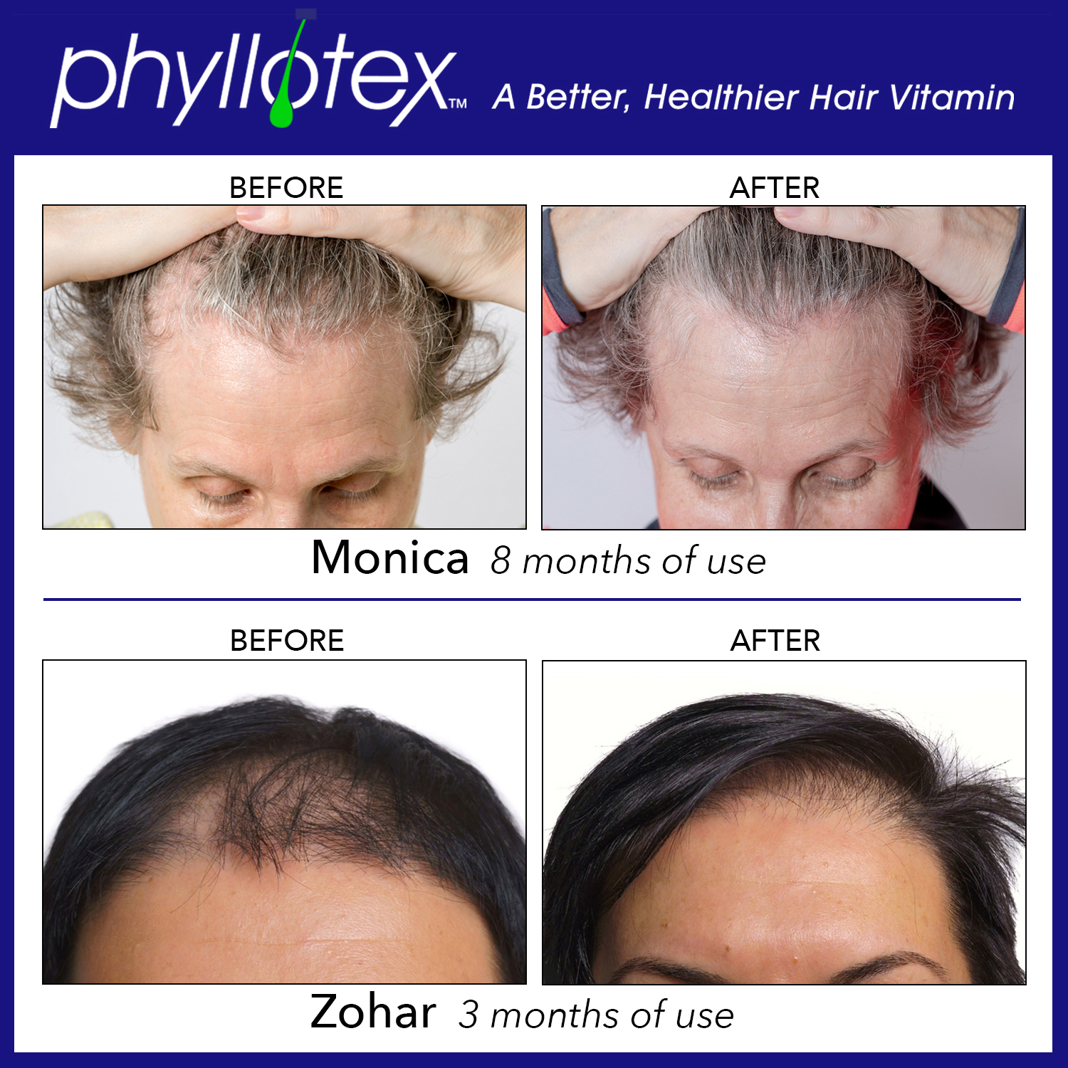 Phyllotex® Nutraceutical Supplement - Image 4